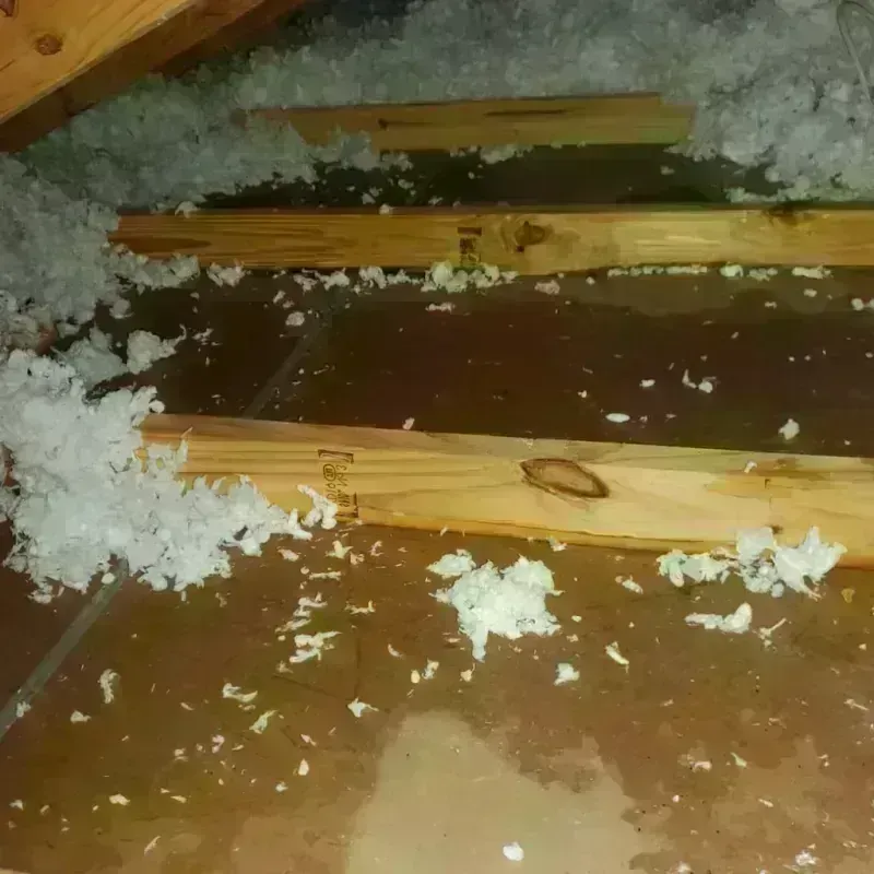 Attic Water Damage in Sweet Springs, MO