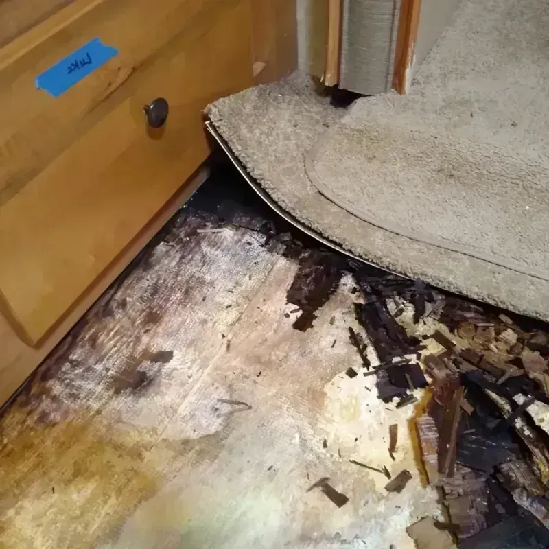 Wood Floor Water Damage in Sweet Springs, MO